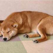 ヒメ日記 2026/02/15 00:15 投稿 なる 奥様の実話 なんば店