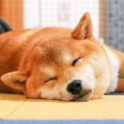 ヒメ日記 2026/02/21 00:15 投稿 なる 奥様の実話 なんば店