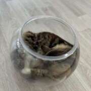 ヒメ日記 2026/02/22 22:47 投稿 なる 奥様の実話 なんば店