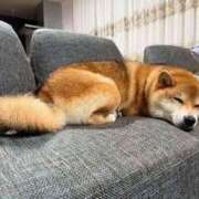 ヒメ日記 2026/02/22 23:11 投稿 なる 奥様の実話 なんば店