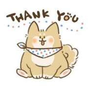 ヒメ日記 2026/03/01 20:23 投稿 なる 奥様の実話 なんば店