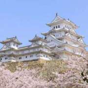 ヒメ日記 2026/04/06 18:11 投稿 なる 奥様の実話 なんば店
