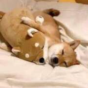 ヒメ日記 2026/04/13 23:50 投稿 なる 奥様の実話 なんば店