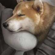 ヒメ日記 2026/04/21 00:12 投稿 なる 奥様の実話 なんば店