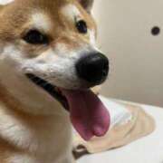 ヒメ日記 2026/09/16 11:15 投稿 なる 奥様の実話 なんば店
