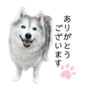 ヒメ日記 2026/09/21 20:11 投稿 なる 奥様の実話 なんば店