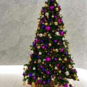 ヒメ日記 2025/12/27 20:39 投稿 望月 みあ セレブリフレ水戸