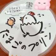 ヒメ日記 2025/09/04 02:09 投稿 なぎさ タレントCLUB