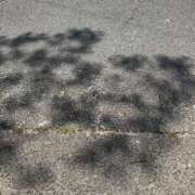 ヒメ日記 2025/04/17 12:04 投稿 真鈴/まりん　centu STYLISH BACH