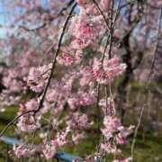 ヒメ日記 2025/04/19 15:22 投稿 真鈴/まりん　centu STYLISH BACH