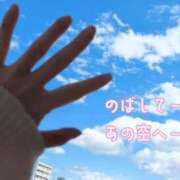ヒメ日記 2025/11/01 13:26 投稿 桜華りり 夜這い専門 発情する奥様たち梅田店