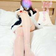 ヒメ日記 2024/12/14 13:31 投稿 なつ プリンセスセレクション姫路