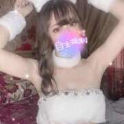 ヒメ日記 2025/02/04 18:03 投稿 なつ プリンセスセレクション姫路