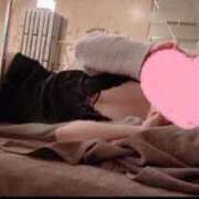 ヒメ日記 2025/04/26 07:00 投稿 最上　れん Amateras～アマテラス～