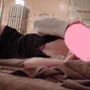 ヒメ日記 2025/07/10 07:01 投稿 最上　れん Amateras～アマテラス～