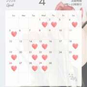 ヒメ日記 2026/04/01 07:02 投稿 最上　れん Amateras～アマテラス～