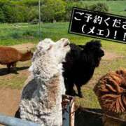 ヒメ日記 2025/05/23 00:52 投稿 ★美波かなめ★ CLUB39（クラブサンキュー）