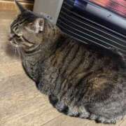 ヒメ日記 2025/02/13 18:24 投稿 ★片瀬りつ★ CLUB39（クラブサンキュー）