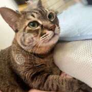 ヒメ日記 2025/07/08 01:02 投稿 ★片瀬りつ★ CLUB39（クラブサンキュー）