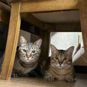 ヒメ日記 2025/09/05 22:02 投稿 ★片瀬りつ★ CLUB39（クラブサンキュー）