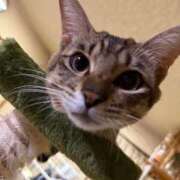 ヒメ日記 2025/09/09 19:22 投稿 ★片瀬りつ★ CLUB39（クラブサンキュー）