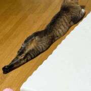 ヒメ日記 2025/09/14 16:12 投稿 ★片瀬りつ★ CLUB39（クラブサンキュー）