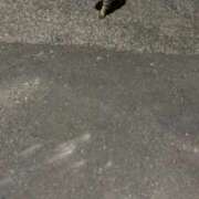 ヒメ日記 2025/10/28 00:48 投稿 ★片瀬りつ★ CLUB39（クラブサンキュー）