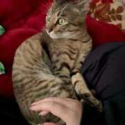 ヒメ日記 2025/11/28 12:52 投稿 ★片瀬りつ★ CLUB39（クラブサンキュー）