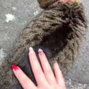 ヒメ日記 2025/12/04 01:32 投稿 ★片瀬りつ★ CLUB39（クラブサンキュー）