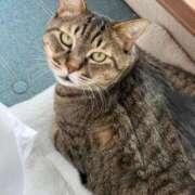 ヒメ日記 2026/01/19 23:22 投稿 ★片瀬りつ★ CLUB39（クラブサンキュー）