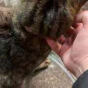 ヒメ日記 2026/02/12 21:52 投稿 ★片瀬りつ★ CLUB39（クラブサンキュー）