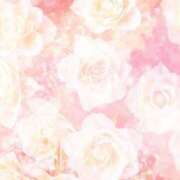 ヒメ日記 2025/01/03 14:09 投稿 ちなつ 激安ピーチ