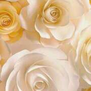 ヒメ日記 2025/01/03 17:59 投稿 ちなつ 激安ピーチ