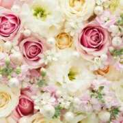 ヒメ日記 2025/01/06 12:19 投稿 ちなつ 激安ピーチ