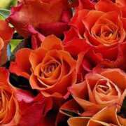 ヒメ日記 2025/01/08 17:30 投稿 ちなつ 激安ピーチ