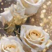 ヒメ日記 2025/01/08 21:39 投稿 ちなつ 激安ピーチ