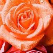 ヒメ日記 2025/01/12 13:59 投稿 ちなつ 激安ピーチ