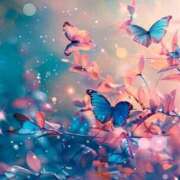 ヒメ日記 2025/01/21 15:54 投稿 ちなつ 激安ピーチ