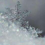 ヒメ日記 2025/02/06 07:59 投稿 ちなつ 激安ピーチ