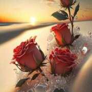 ヒメ日記 2025/02/13 12:09 投稿 ちなつ 激安ピーチ