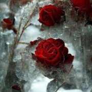 ヒメ日記 2025/02/14 20:41 投稿 ちなつ 激安ピーチ