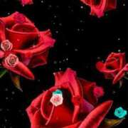 ヒメ日記 2025/02/15 18:01 投稿 ちなつ 激安ピーチ