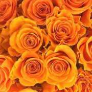 ヒメ日記 2025/03/27 11:32 投稿 ちなつ 激安ピーチ