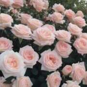 ヒメ日記 2025/04/09 22:44 投稿 ちなつ 激安ピーチ