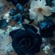 ヒメ日記 2025/04/12 15:09 投稿 ちなつ 激安ピーチ