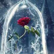 ヒメ日記 2025/04/12 19:14 投稿 ちなつ 激安ピーチ