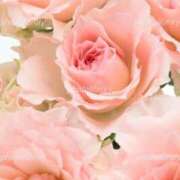 ヒメ日記 2025/04/23 19:29 投稿 ちなつ 激安ピーチ