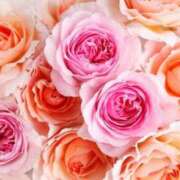 ヒメ日記 2025/04/30 11:17 投稿 ちなつ 激安ピーチ