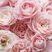 ヒメ日記 2025/04/30 13:09 投稿 ちなつ 激安ピーチ