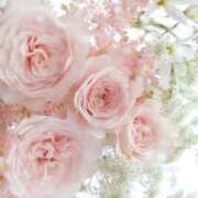 ヒメ日記 2025/05/18 15:24 投稿 ちなつ 激安ピーチ